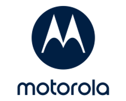 Descripción de la imagen