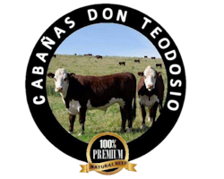 Descripción de la imagen